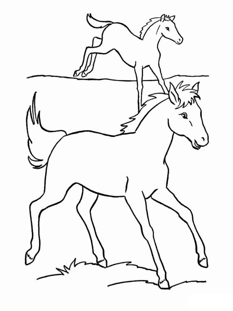 Лошади на поляне раскраска