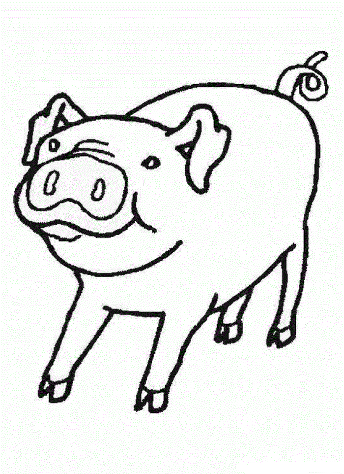 Раскраска свинья