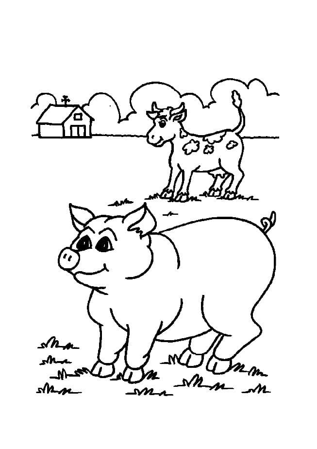 Свинья и корова
