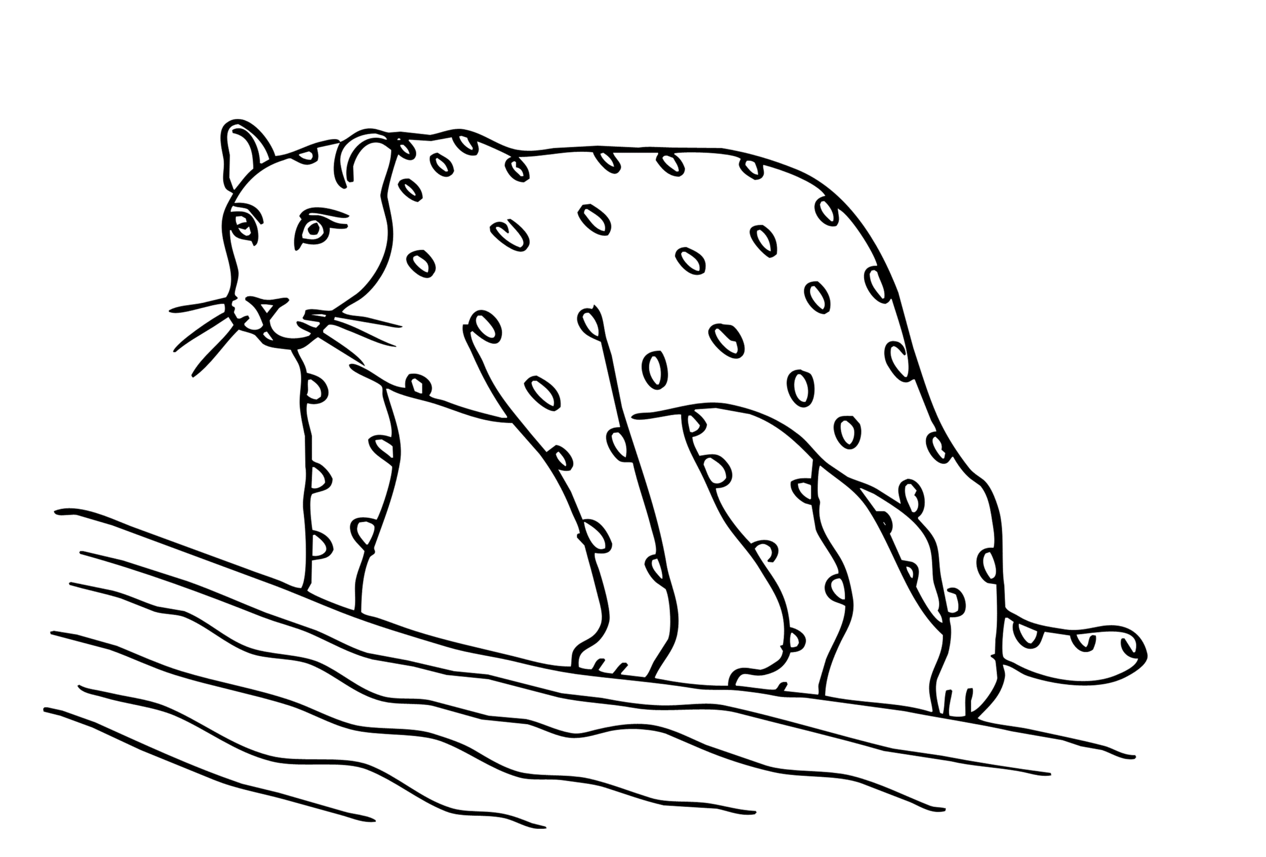 Детская раскраска леопард