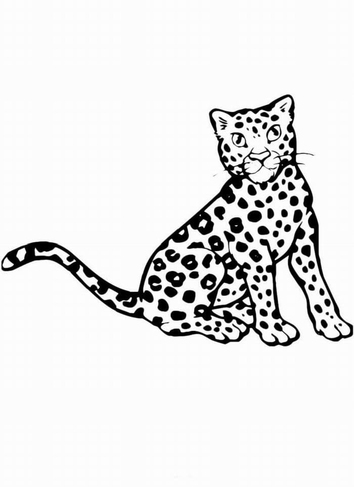 Раскраска для детей леопард