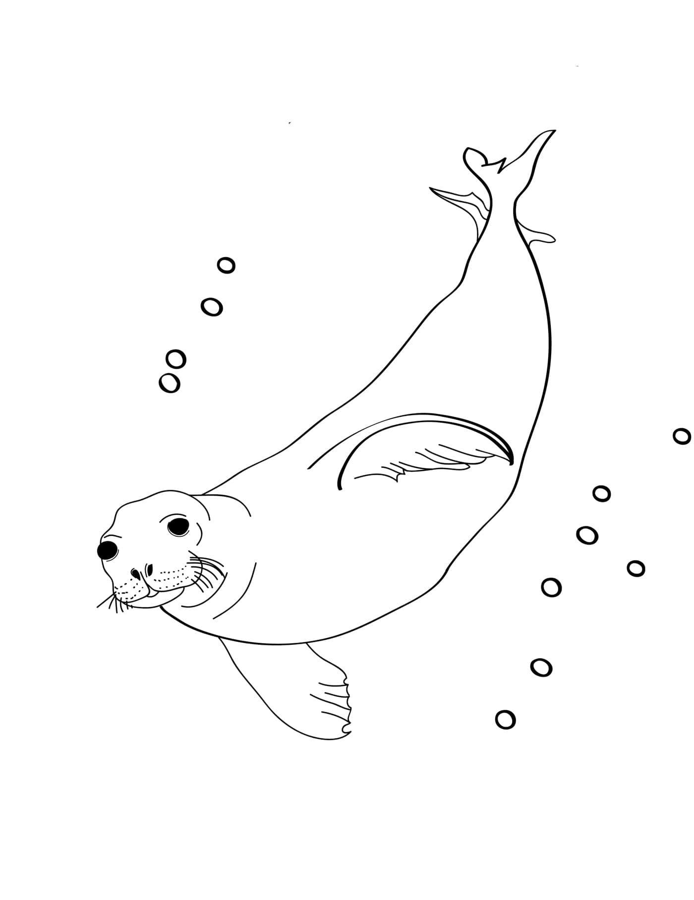Тюлень под водой