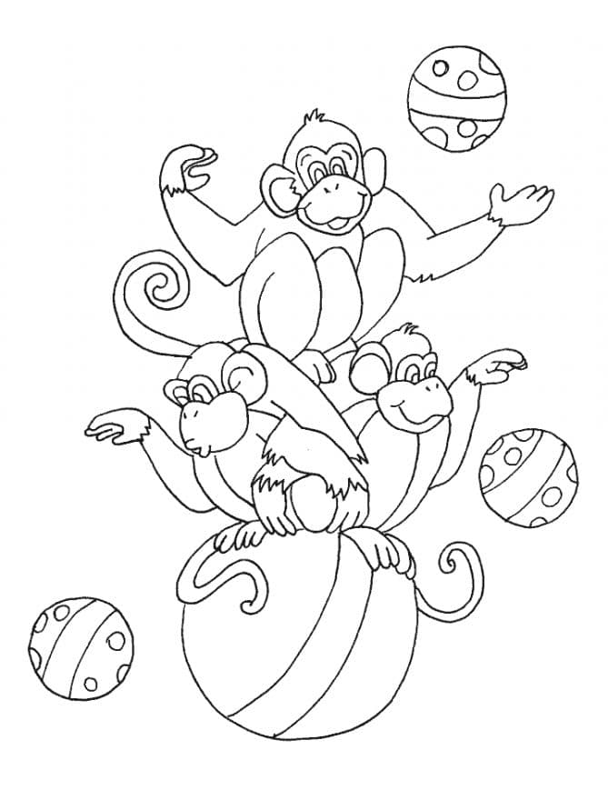 Цирковые обезьяны