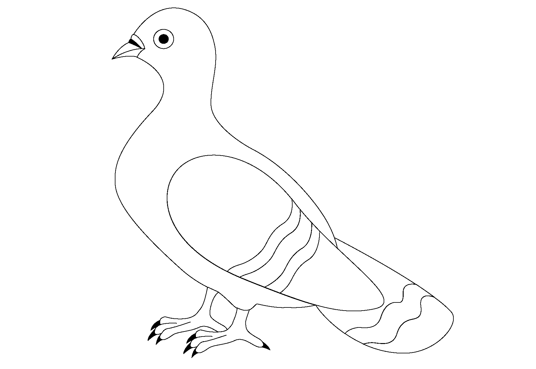 Картинка голубь