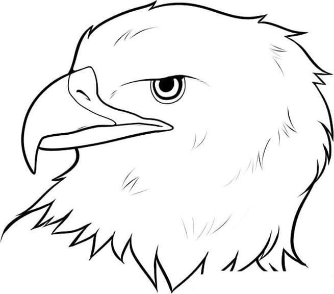 Лицо орла