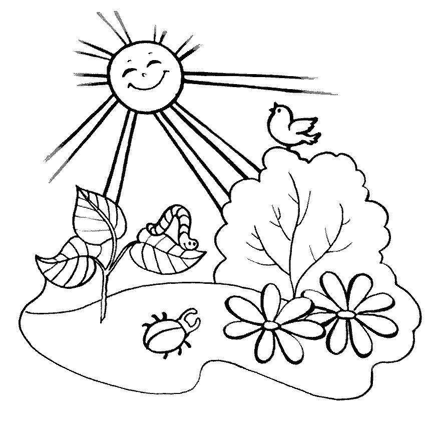 Солнце и природа