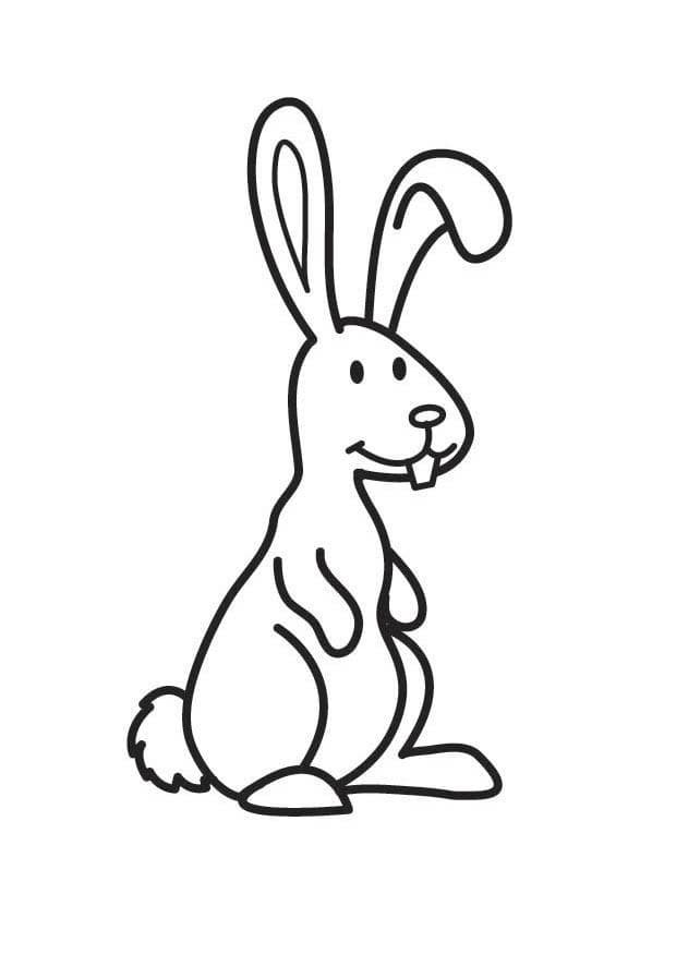 Раскраска для детей заяц - Раскраски от сайта В мире сказки!