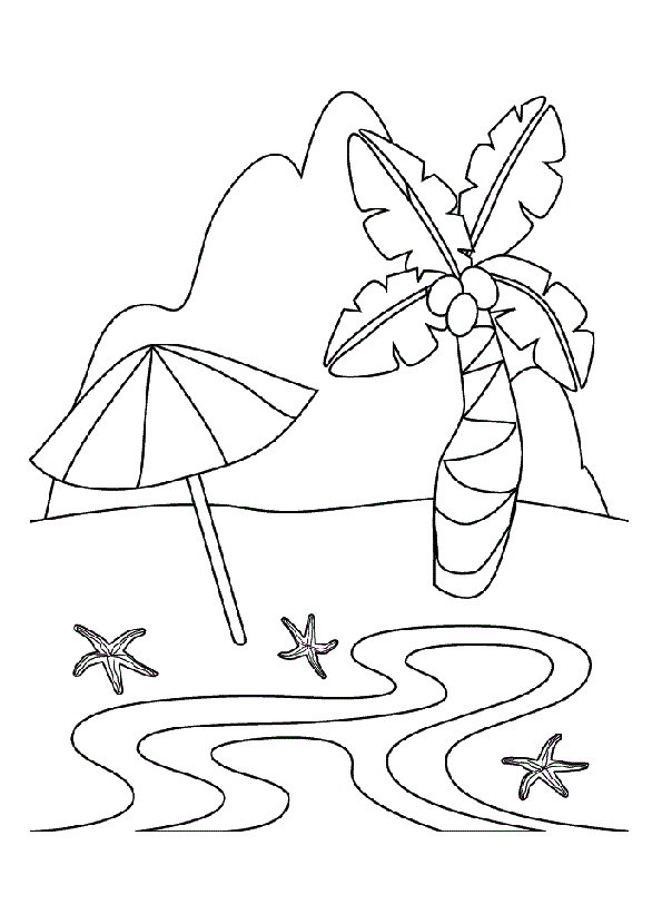 Пальма зонт и море
