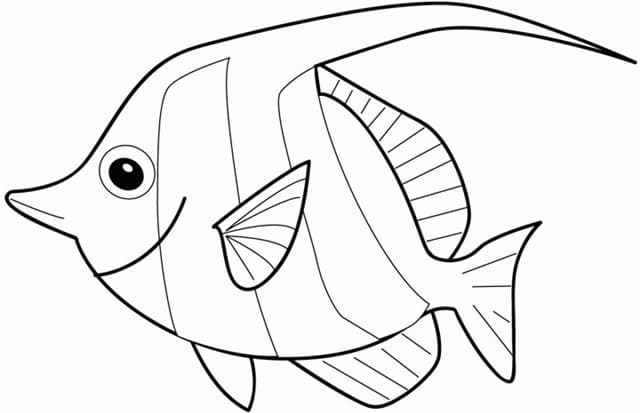 Плоская рыба