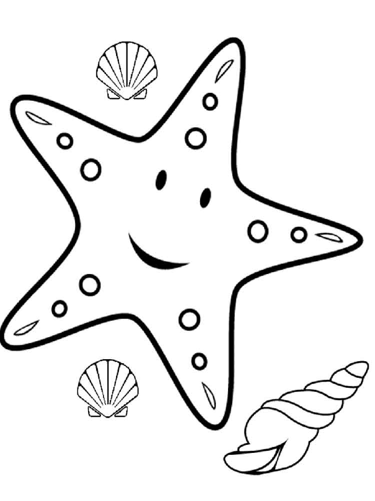 Морская звезда