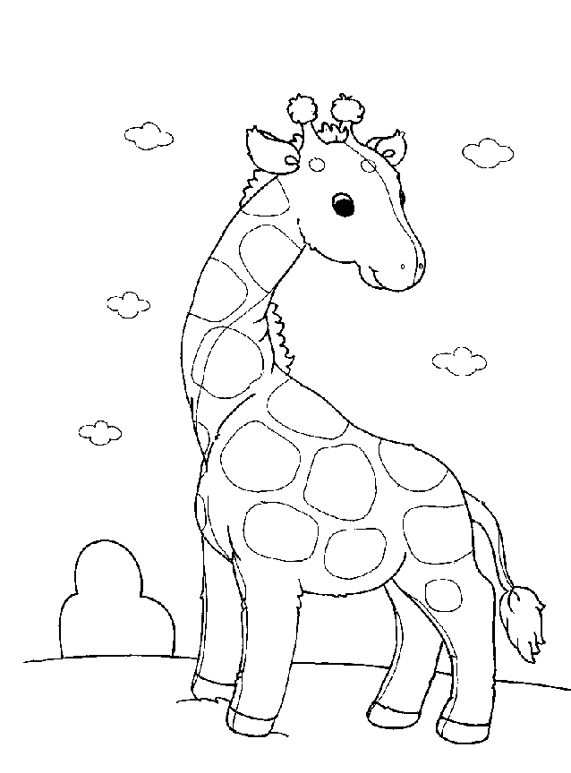 Большой жираф