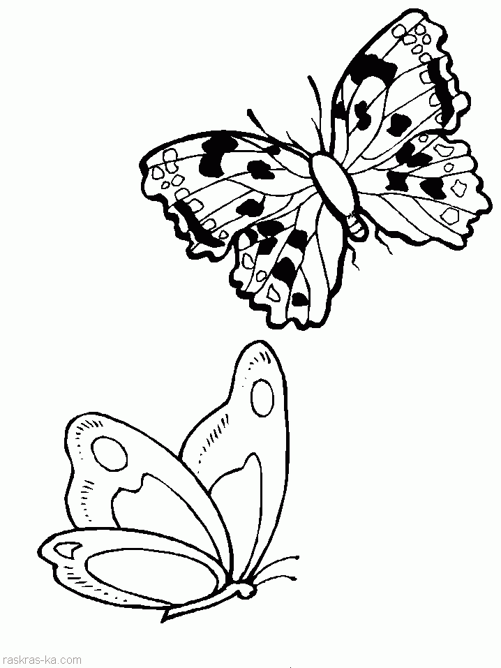 Бабочки детская раскраска