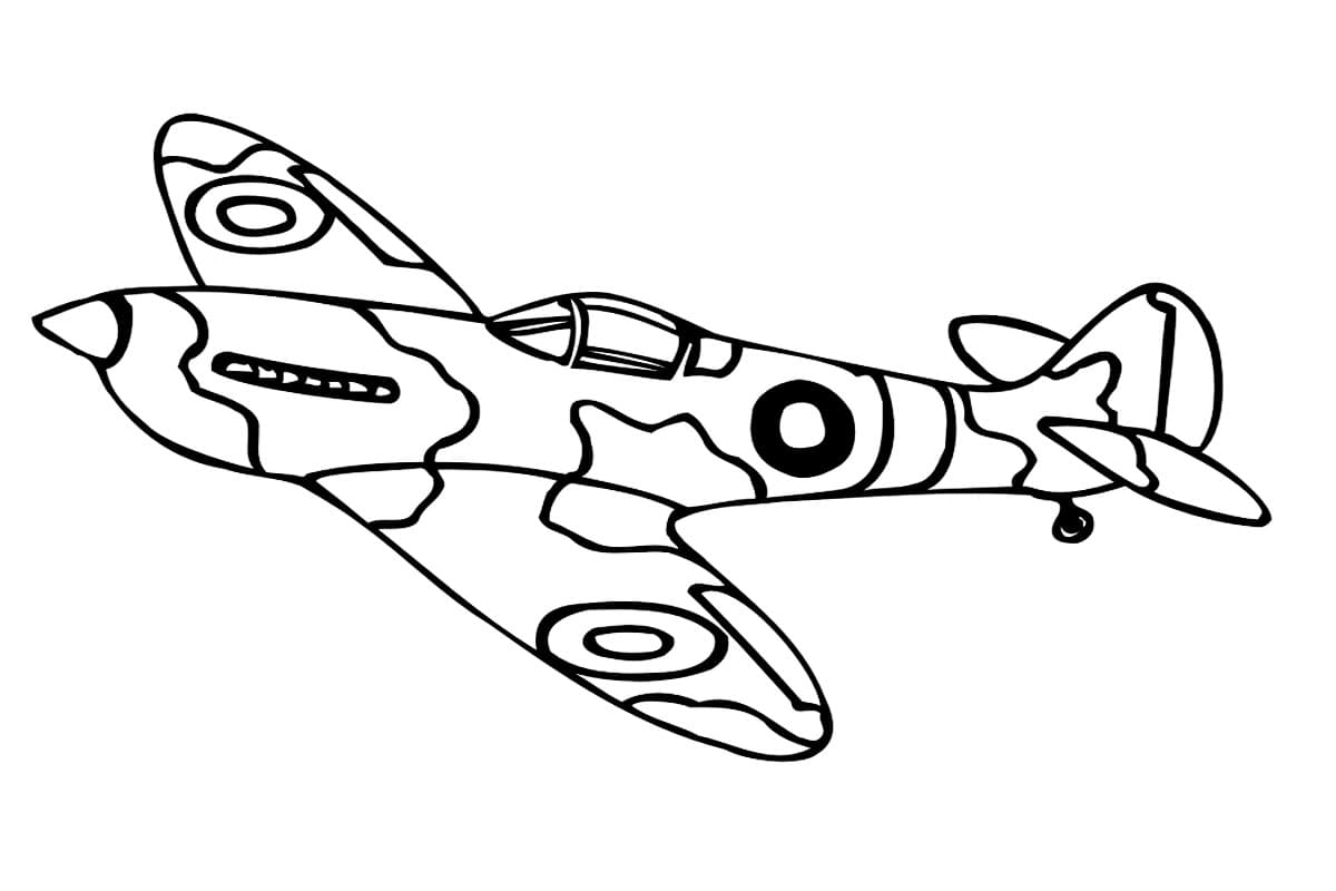 Самолет в военной раскраске