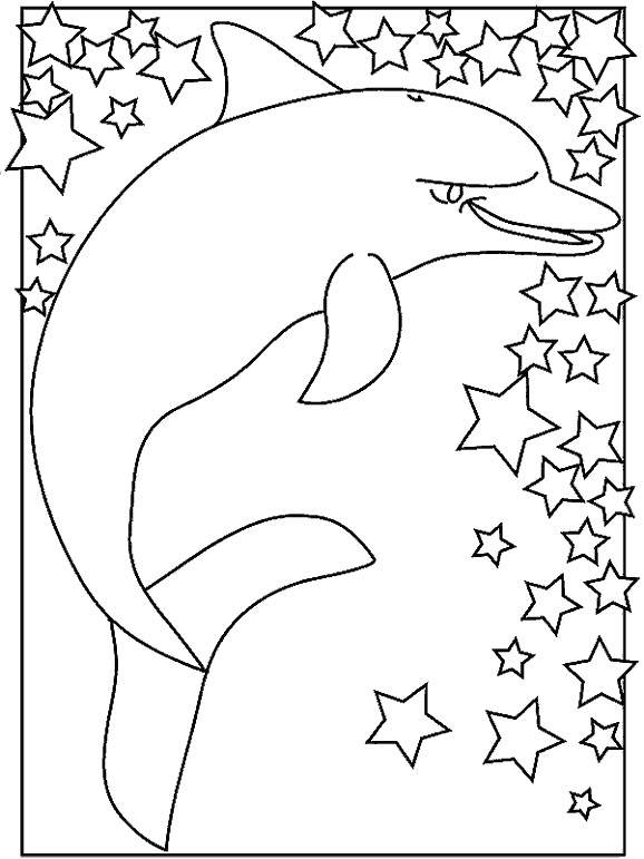 Дельфин и звездочки