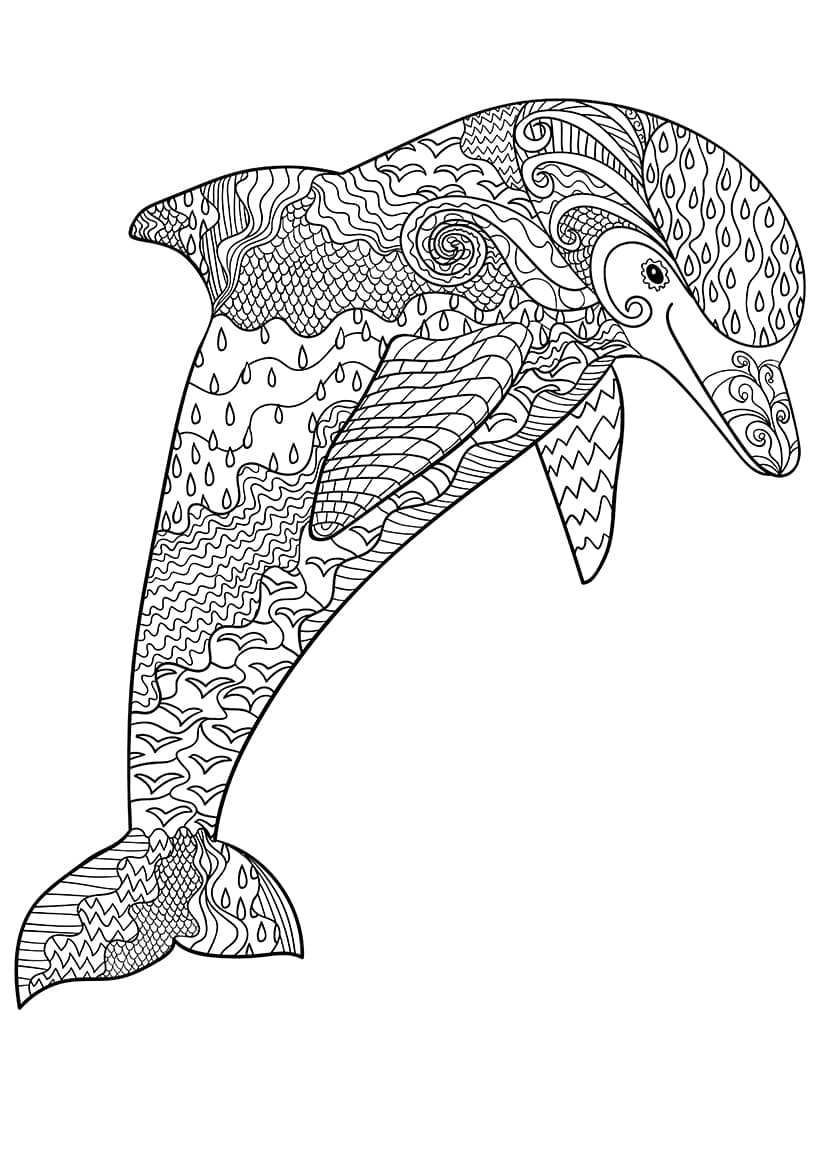 Дельфин раскраска антистресс