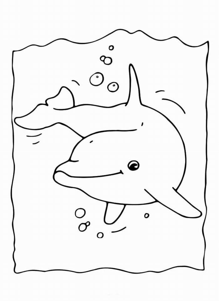 Дельфин раскраска детская