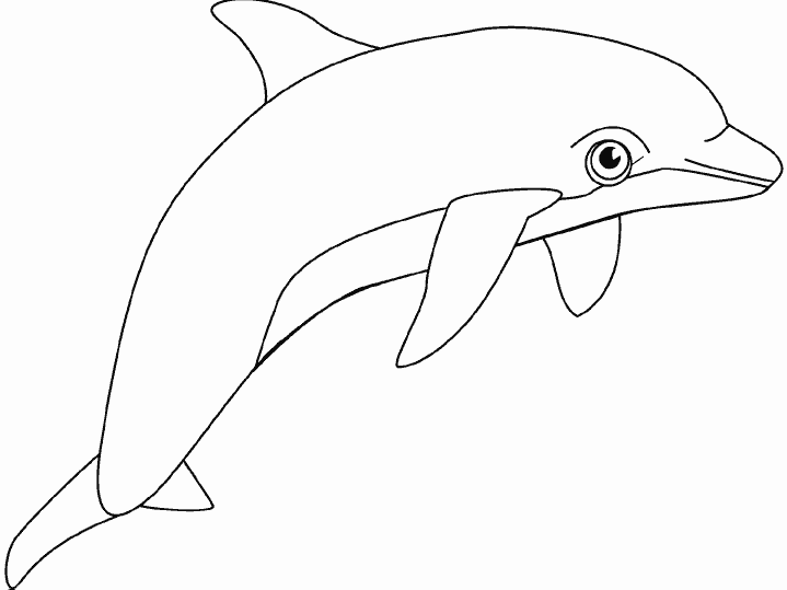 Раскраска детская дельфин