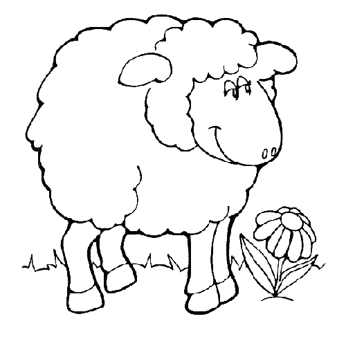 Овца и цветочек