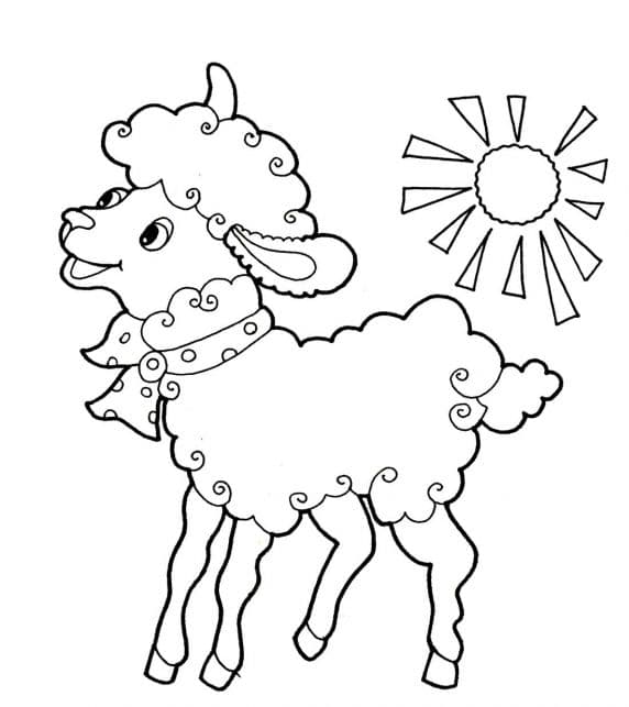 Овца и солнце