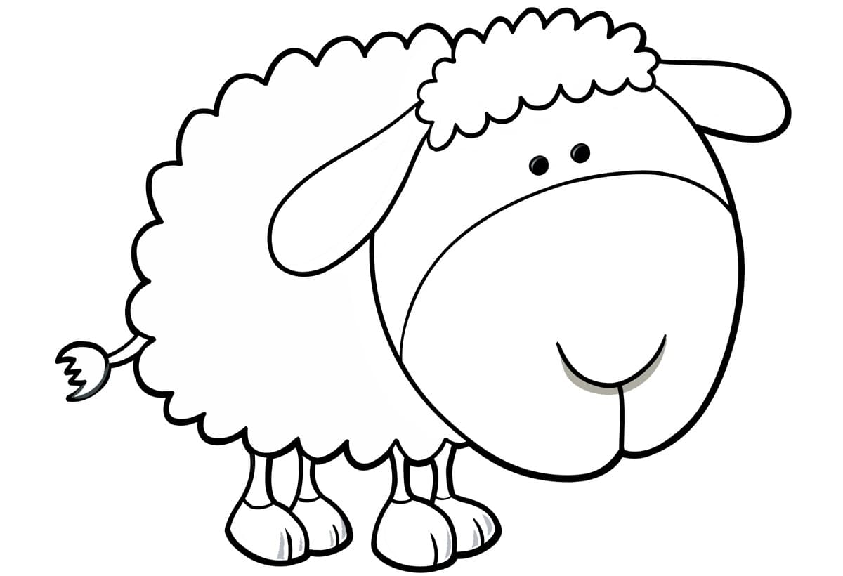 Смешная овечка