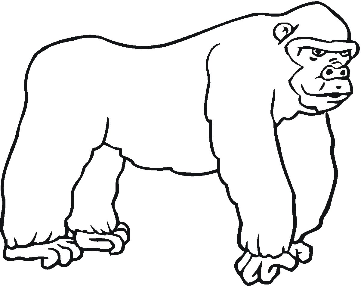 Раскраска для детей горилла