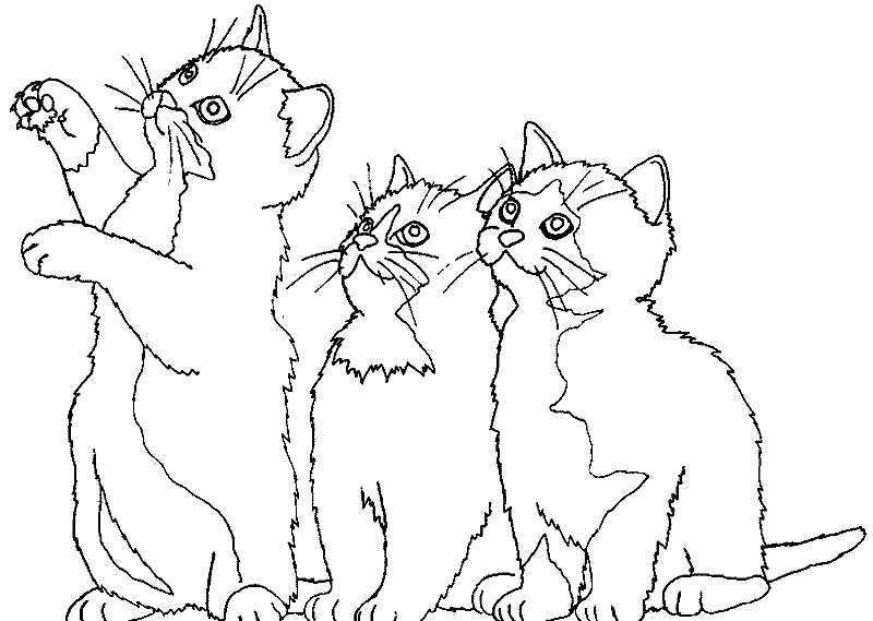 Три котенка раскраска