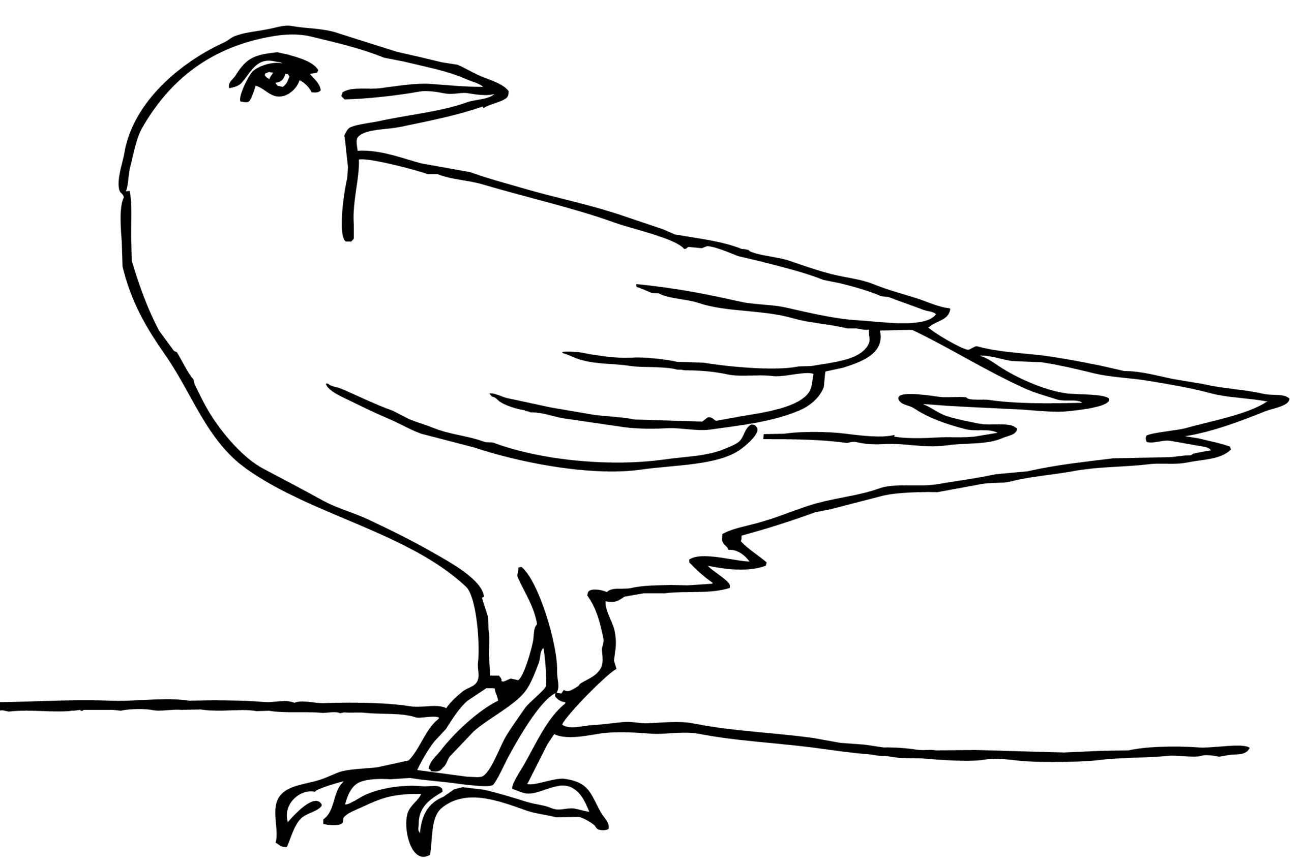 Раскраска детская ворона
