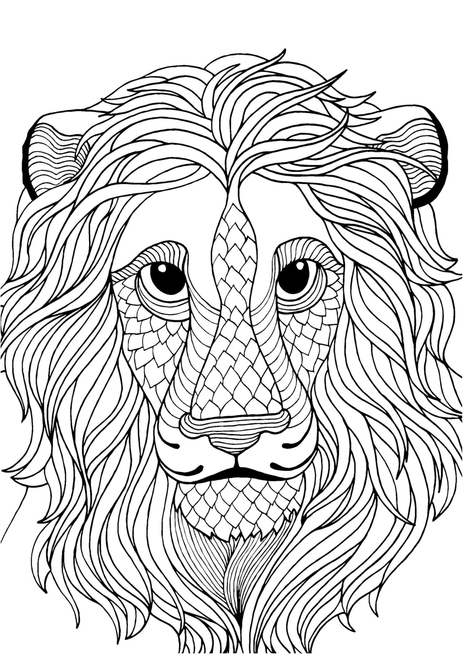 Лев с шикарной гривой