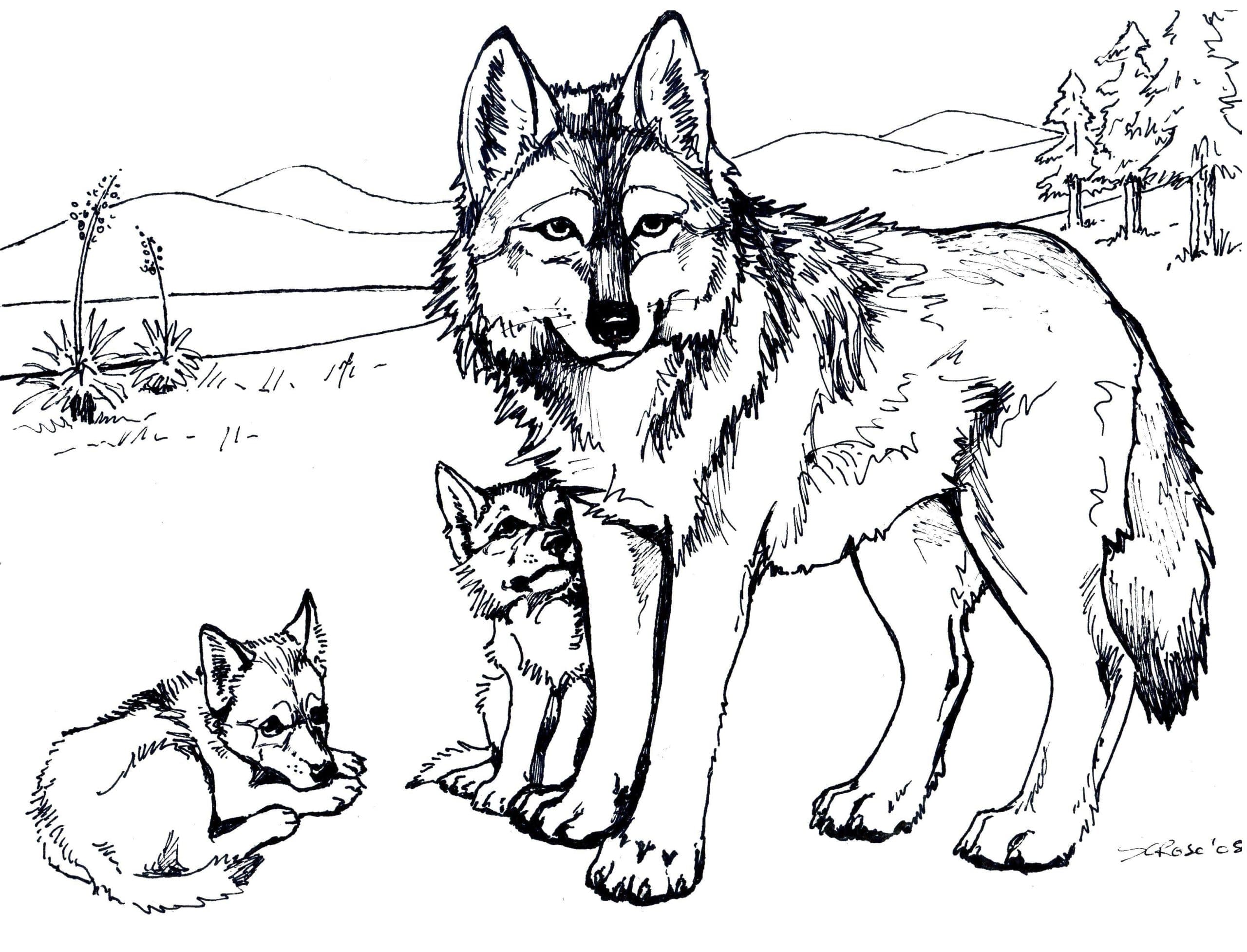 Волк и волчата