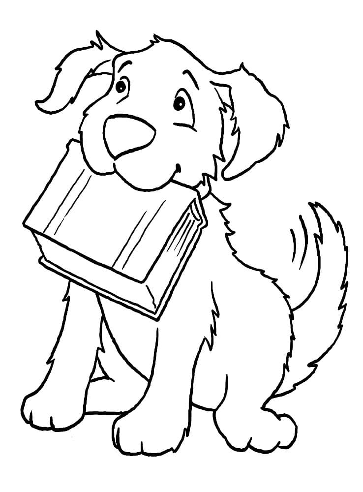 Собака с книгой