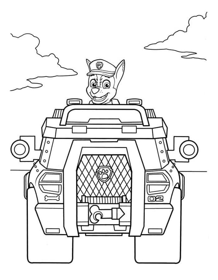 Гонщик в автомобиле щенячий патруль