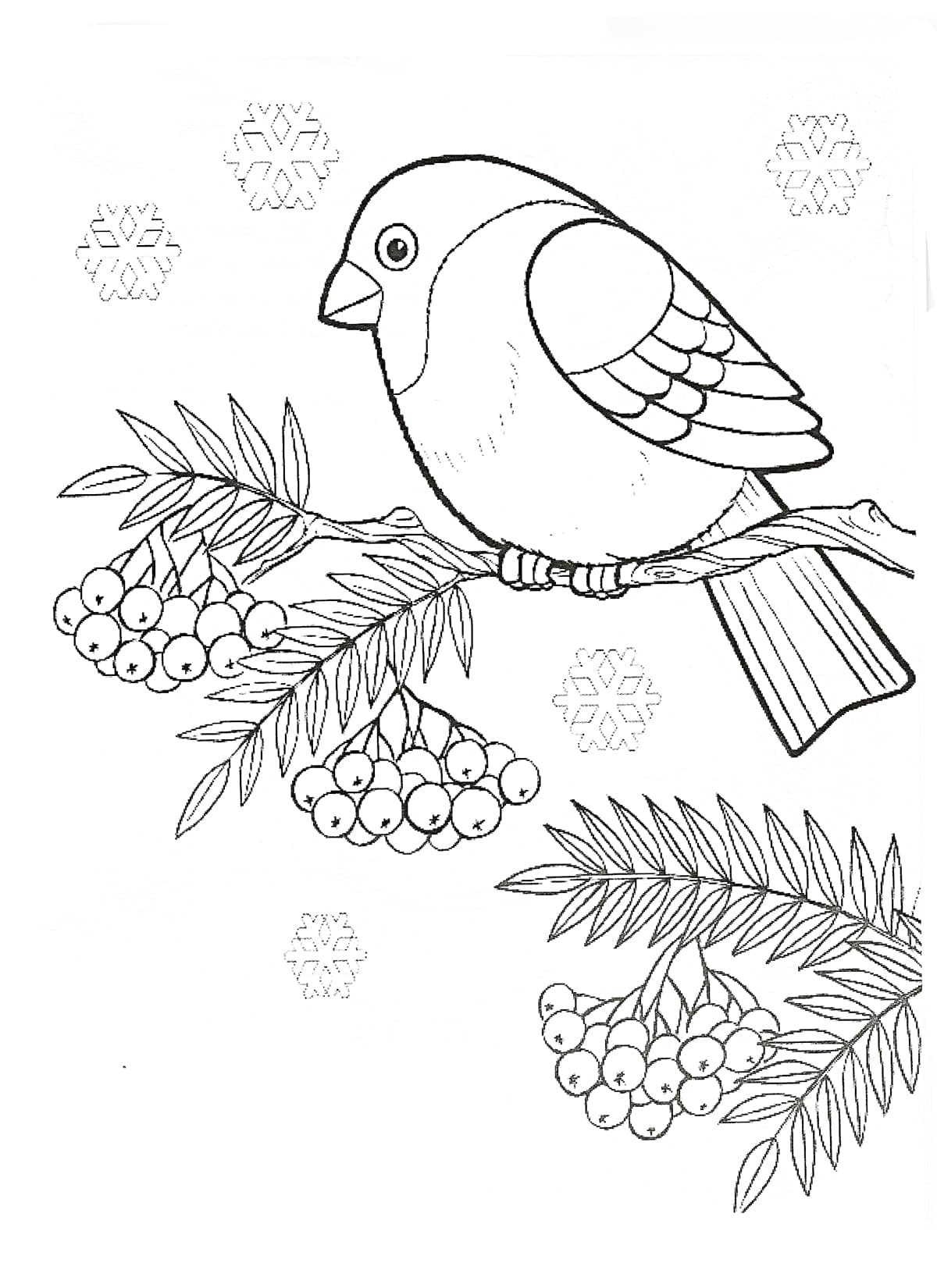 Птицы для раскрашивания для детей Снегирь
