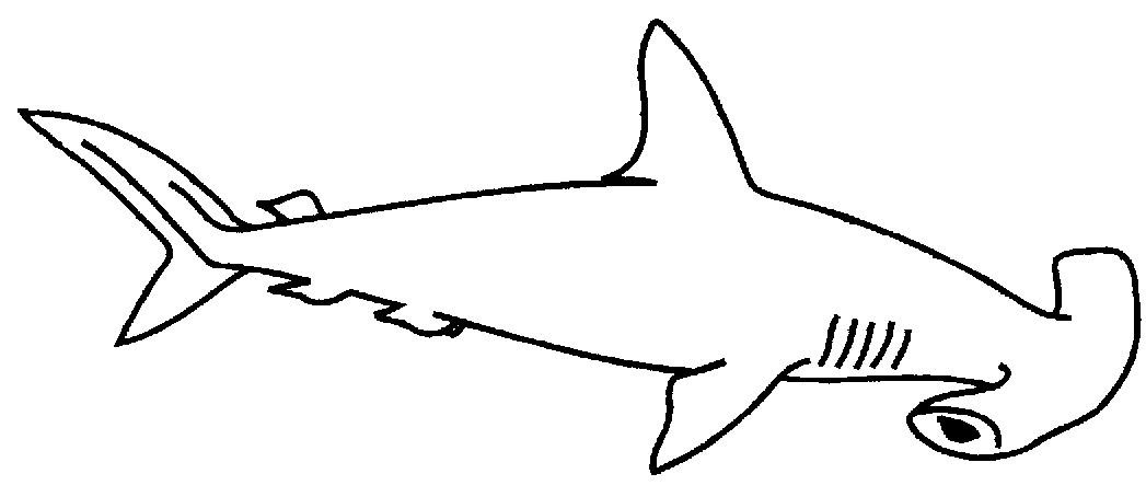 Раскраска акула молот
