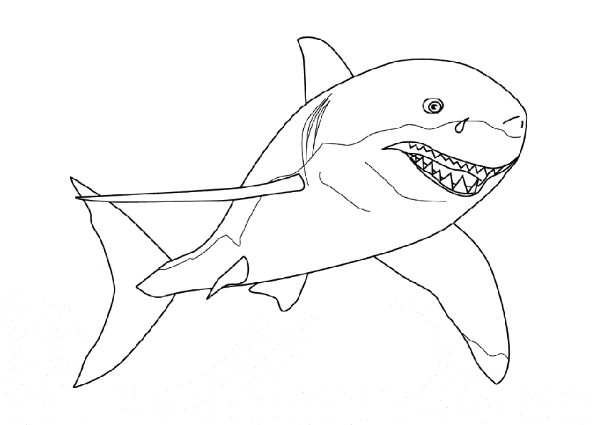 Раскраска детская акула