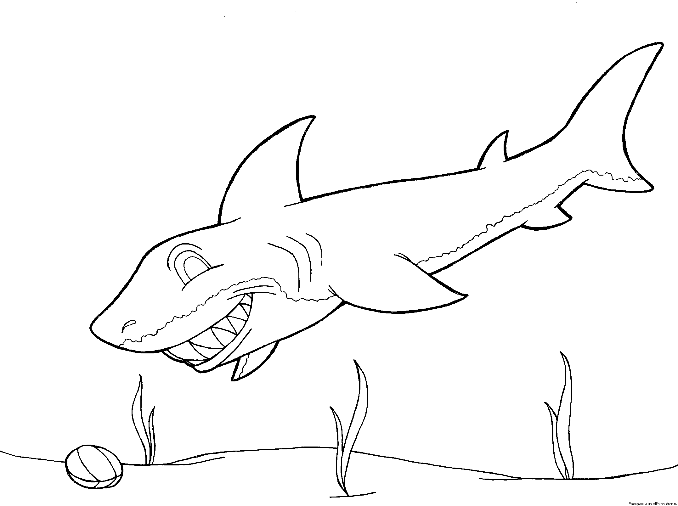 Шаблон акулы