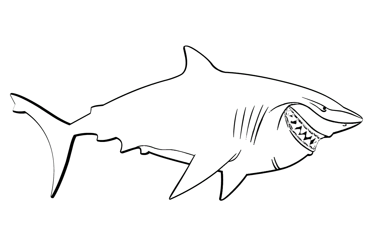 Толстая акула