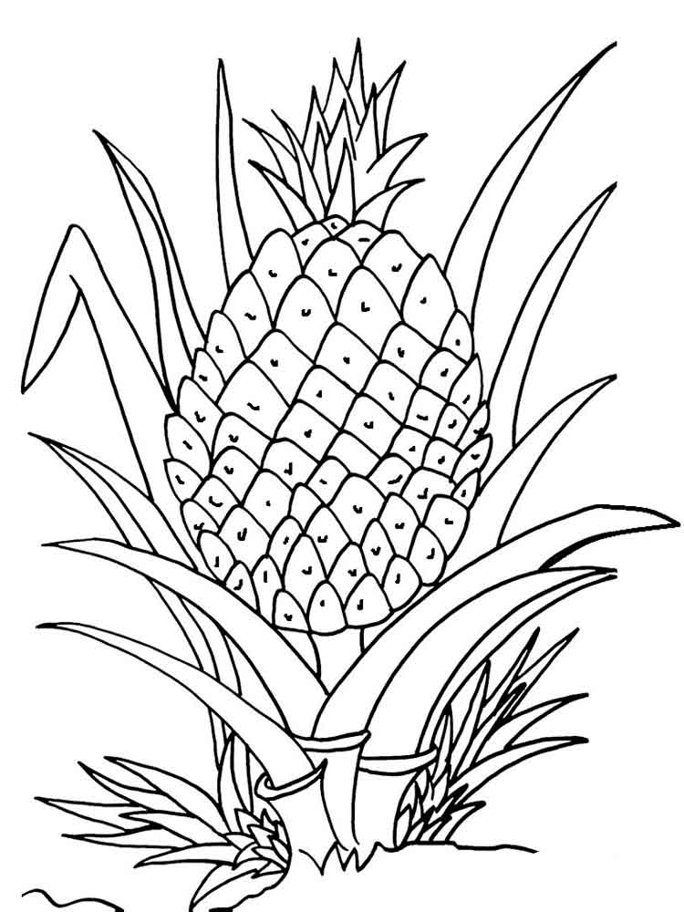 Детская раскраска ананас