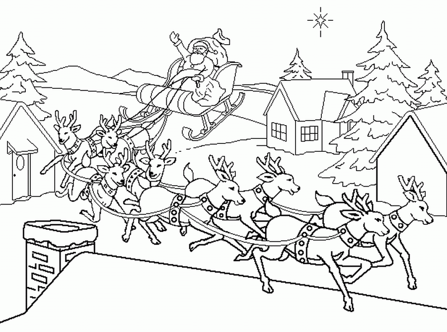 Санта и олени