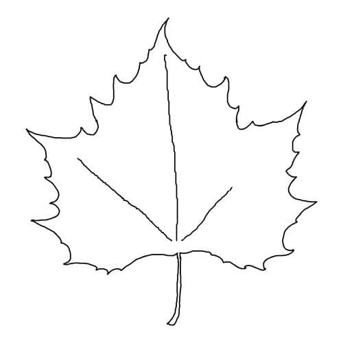 Кленовый лист с узорами