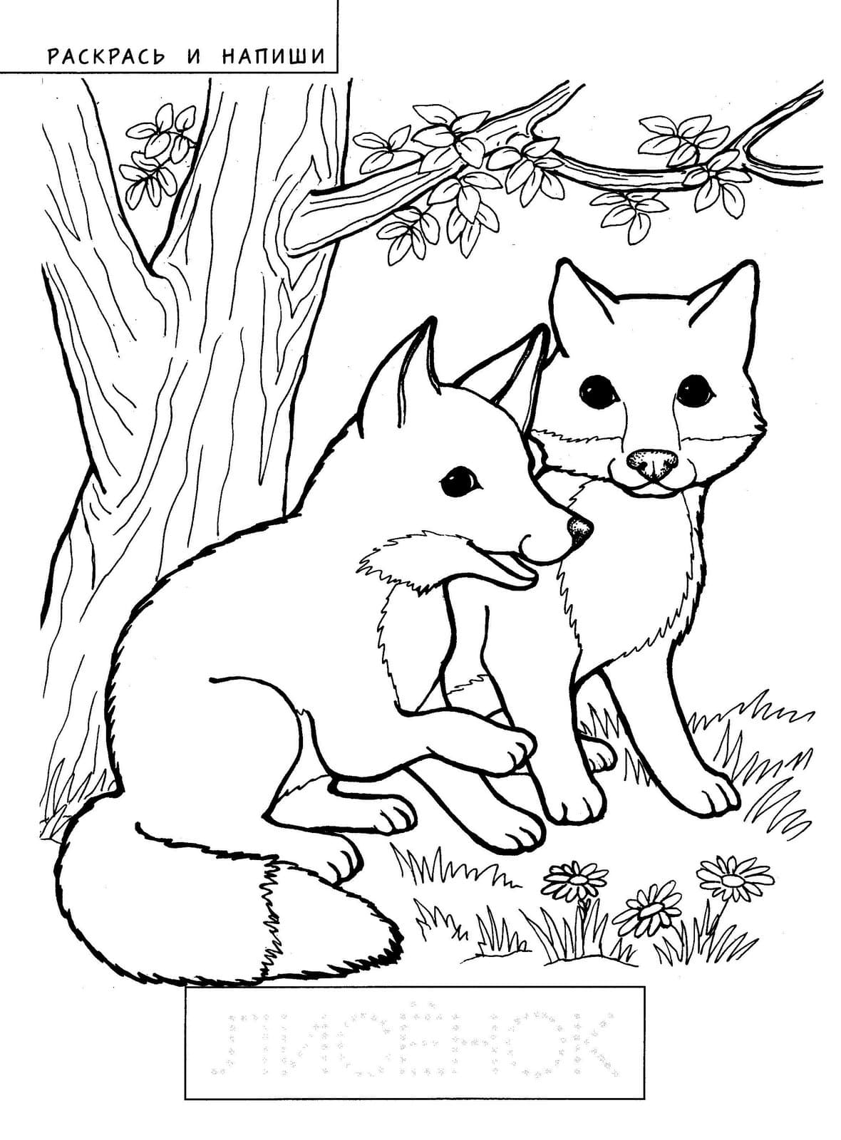 Две лисички под деревом