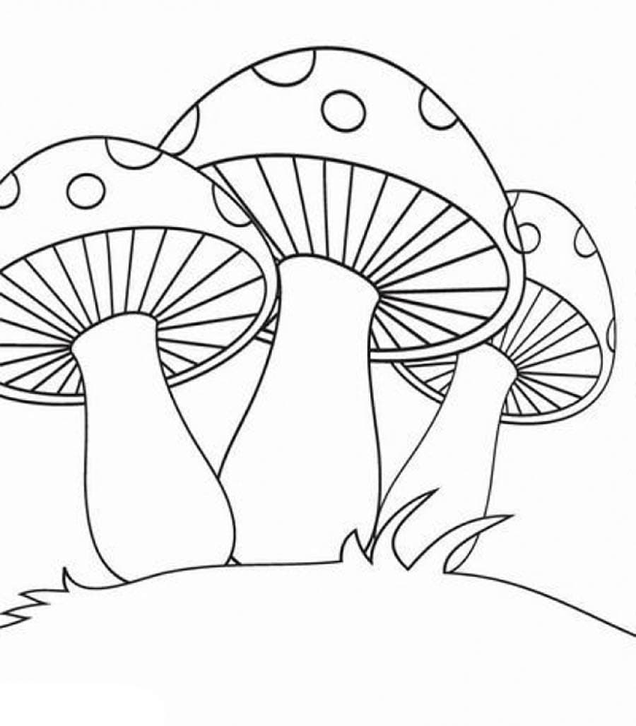 Три гриба мухомора