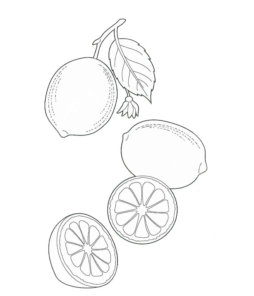 Раскраска для детей лимоны
