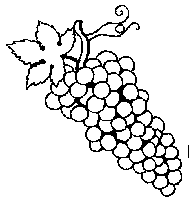 Детская раскраска гроздь винограда