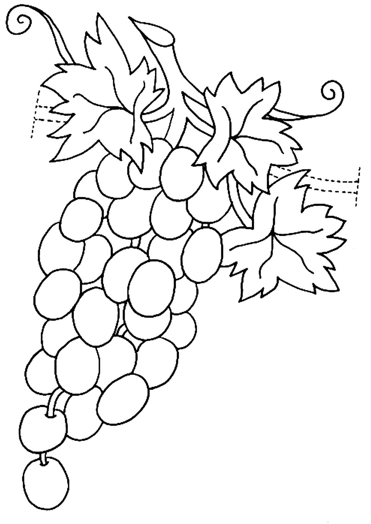Кисточка винограда