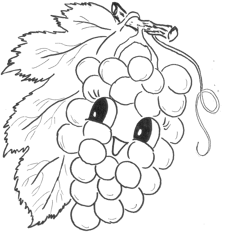 картинка виноград с глазами