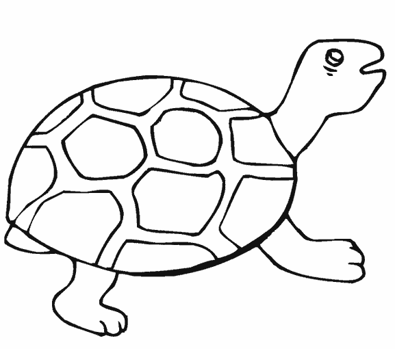 Детская раскраска черепаха