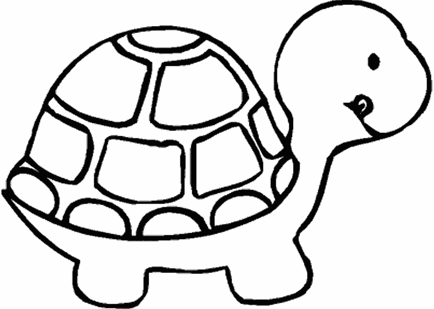 Картинка черепаха