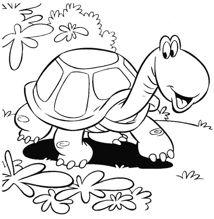 Удивленная черепаха