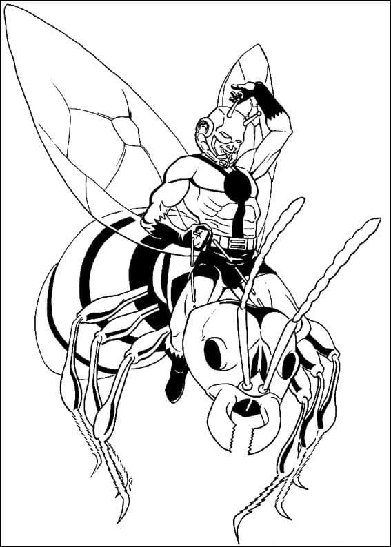 Человек муравей летит на пчеле раскраска
