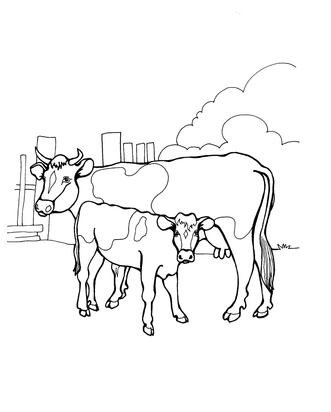Корова и теленок раскраска детская